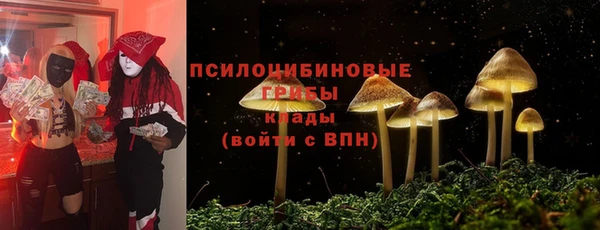 ГАЛЛЮЦИНОГЕННЫЕ ГРИБЫ Алексеевка