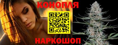 шишки Шахты