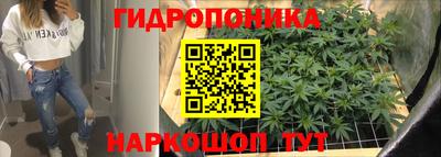 дживик Шебекино