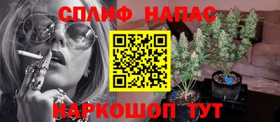 ешки Шелехов