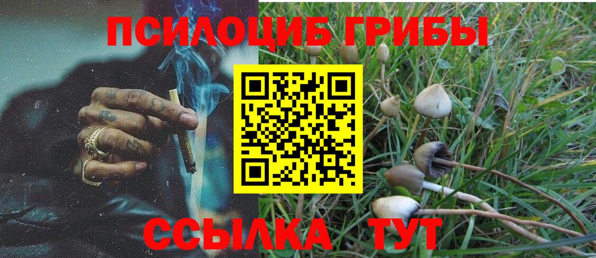 Псилоцибиновые грибы прущие грибы  Галлюциногенные грибы Psilocybine cubensis  Кулебаки  Вход с VPN 