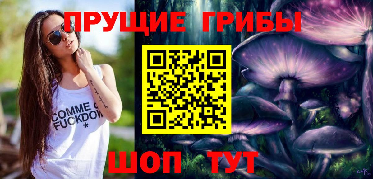 Псилоцибиновые грибы Psilocybe Кулебаки